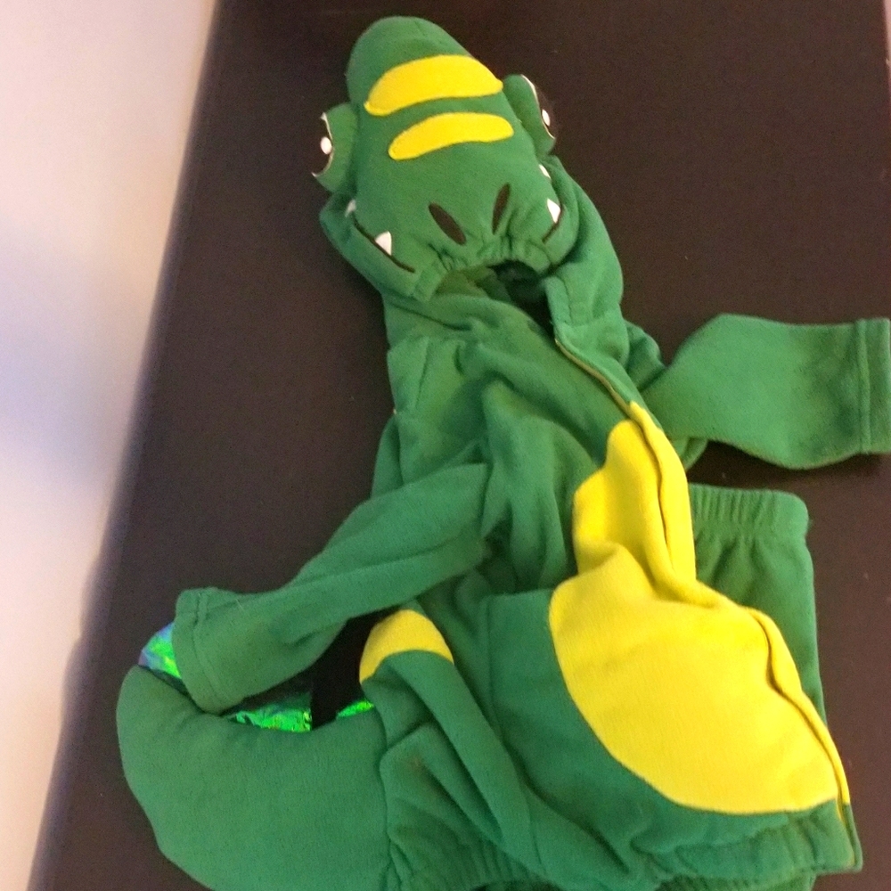 Dinosaur Costume
